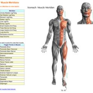 image-asset (5)
